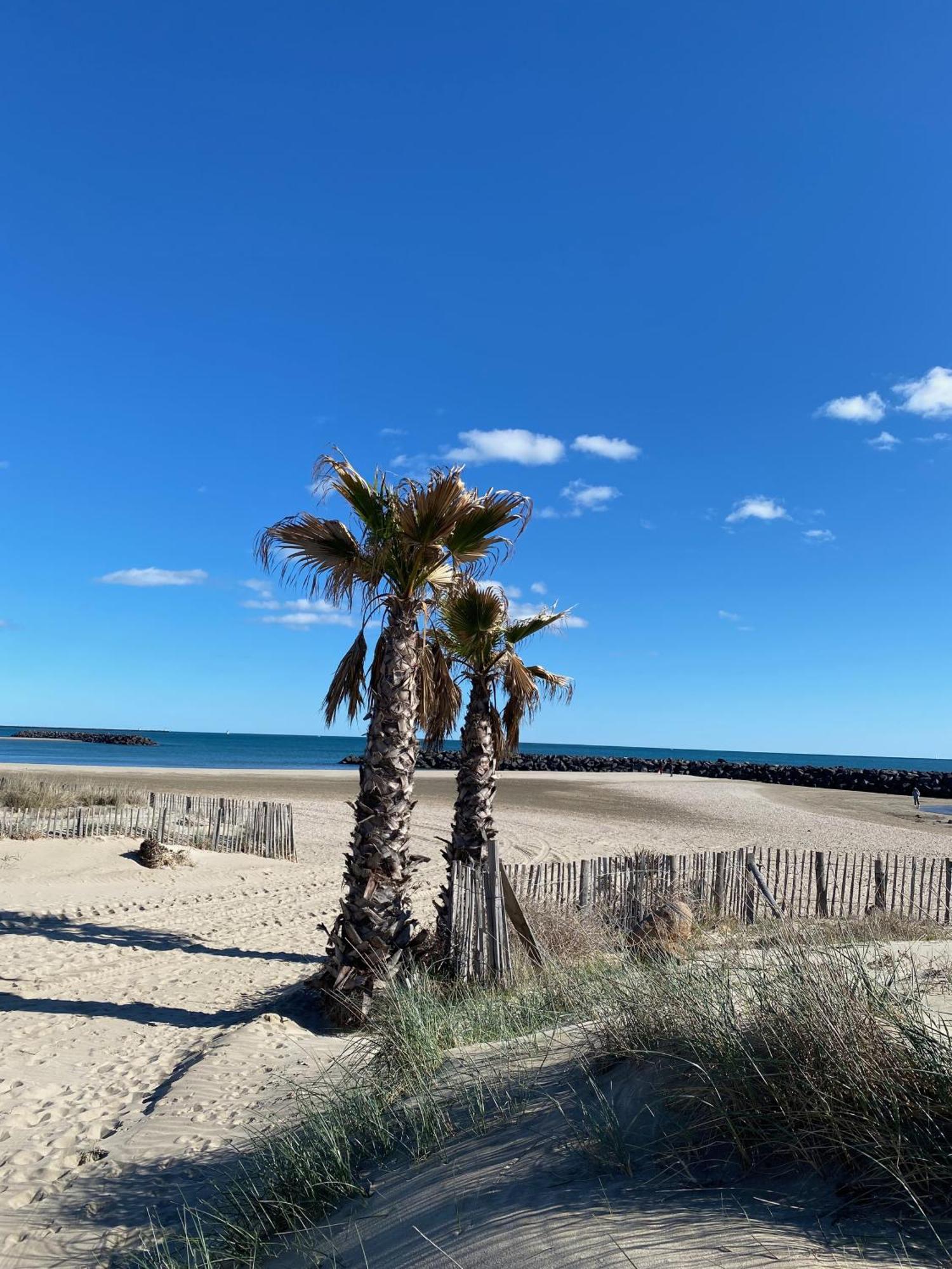 Appart - T3 - 6 Personnes - Golf Cap D'Agde Esterno foto